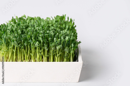 Wooden tray with fresh micro green on grey background