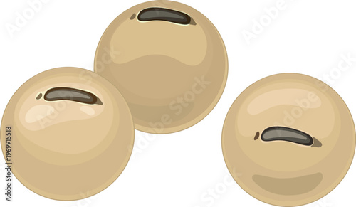 Soybeans (Glycine max) seeds isolated on white