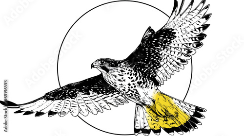 A falcon illustration in mid-flight, with a circle outline behind it and yellow on its feathers