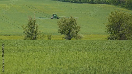 A farm tractor with a sprayer treats a lush green wheat field on a rolling hill. This agricultural landscape shows modern farming methods. Soft, natural light illuminates the tranquil rural scene