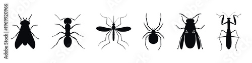 Insect Silhouettes Collection Flat Black Vector Set