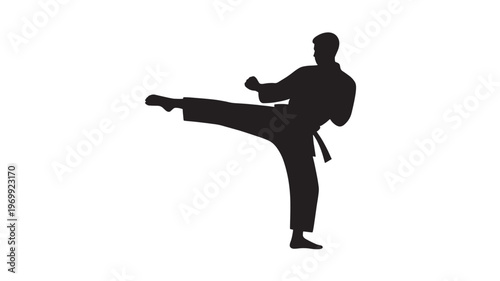 Silhouette of a Martial Artist Executing a Powerful Side Kick in Karate Uniform
