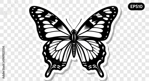 Black and White Butterfly Illustration