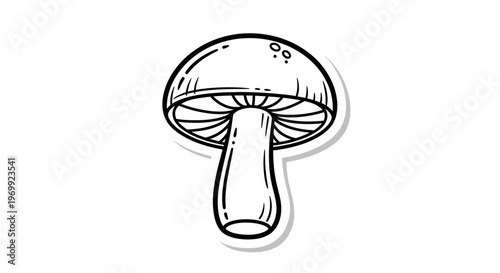 Hand-drawn illustration of a mushroom, simple line art with shadow effect