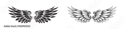 Angel Wing Vector Scetch Designs Collection