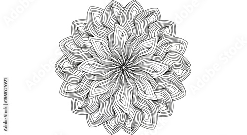 Intricate Abstract Mandala Design with Repeating Floral Petals in Monochromatic Grayscale