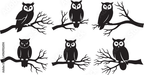 Black Solid Owl on Barren Branch Silhouettes for Autumn Nights