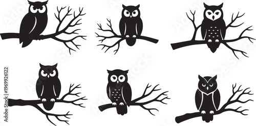 Black Solid Owl on Barren Branch Silhouettes for Autumn Nights