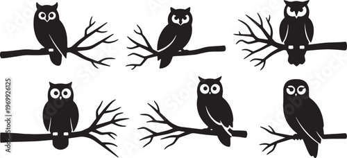 Black Solid Owl on Barren Branch Silhouettes for Autumn Nights