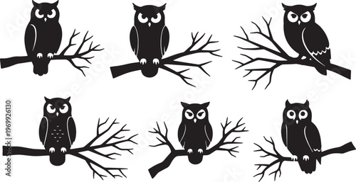 Black Solid Owl on Barren Branch Silhouettes for Autumn Nights