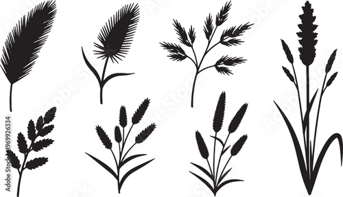 Black Solid Wild Autumn Grass and Seed Head Botanical Silhouettes