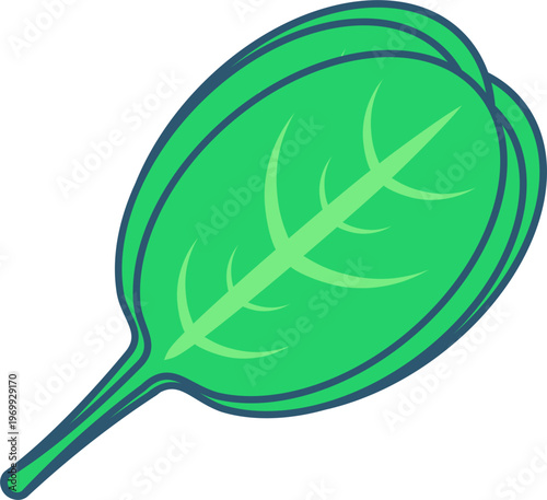 spinach leaf shown in a clean 2D flat design. Fresh Spinach Leaf Graphic