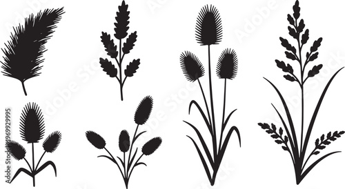 Black Solid Wild Autumn Grass and Seed Head Botanical Silhouettes