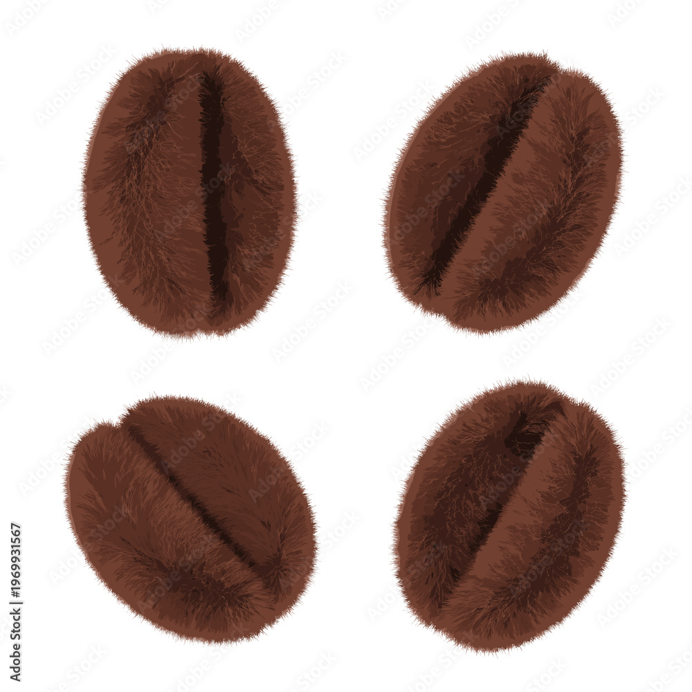 Fototapeta premium Four Roasted Coffee Beans Isolated on White Background 38.