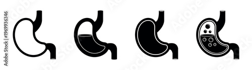 Human Stomach Anatomy Vector Icons Set