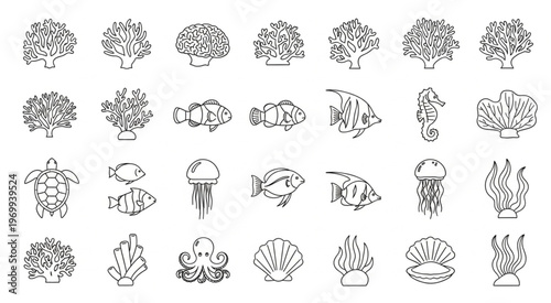 Collection of various marine life and coral reef illustrations in black and white.