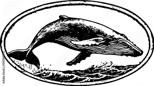 Black and white illustration of a whale breaching from the waves, in an oval frame