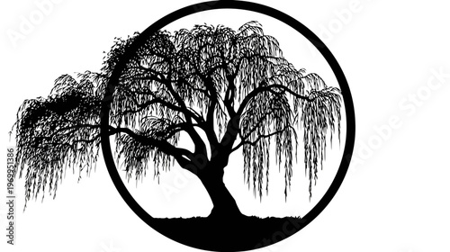 A silhouette of a willow tree framed by a black circle. The tree has many drooping branches