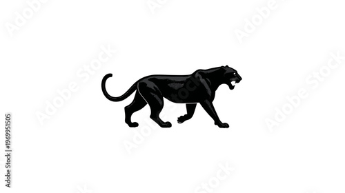 A black, powerful, big cat walks on a white background, it has its mouth open
