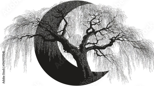 Black and white illustration of a weeping willow tree framed by a crescent moon shape