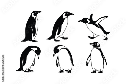 Six Black and White Penguins in Various Poses, Standing, Walking, and Jumping, Illustrating Antarctic Wildlife Behavior and Diversity