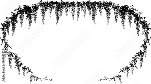 A black and white illustration of wisteria vines forming an oval frame around negative space