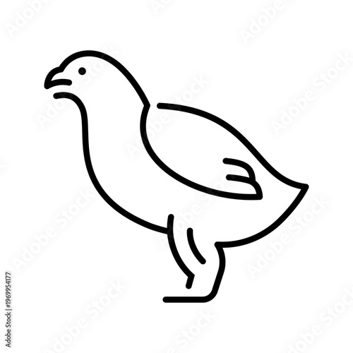 Quail bird icon. Animals and poultry line symbol. Black and white.