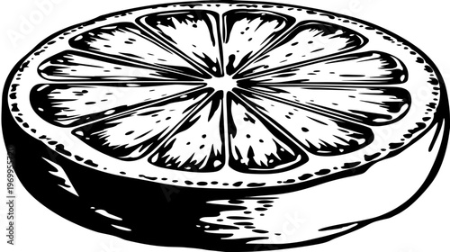 A detailed black and white illustration of a sliced citrus fruit, exhibiting a cross-section