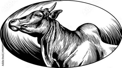A black and white illustration of a bull inside an oval, focusing on its head and upper body