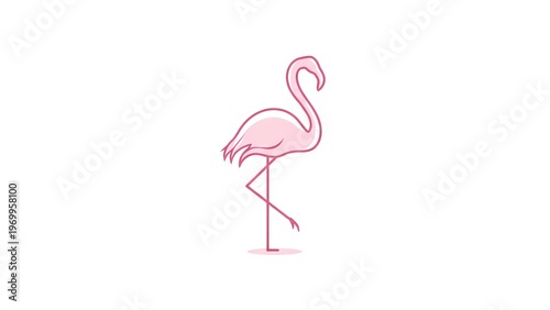 Elegant flamingo standing on one leg