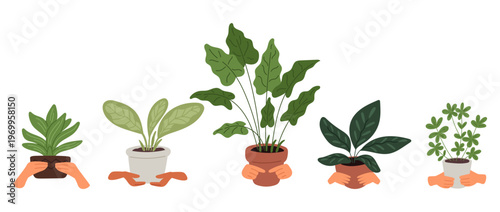 Mens and womens hands holding indoor plants. Human arms with potted succulents and cactuses. Monstera palm leaves. People carry houseplants. Home greenery. Vector set of flowers in pots