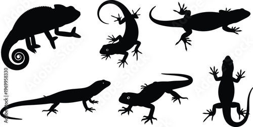 Black silhouette illustration of six lizards including chameleon in diverse poses, highlighting reptile diversity, curled tails, climbing postures, and natural design