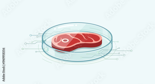 Raw beef steak in a plate.