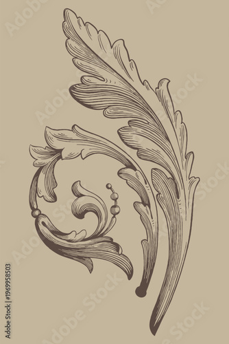 Decorative Acanthus Leaf Ornament Engraving