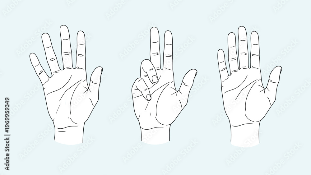 Fototapeta premium Three detailed line drawings of human hands show various positions and palm lines on a light blue gradient background.