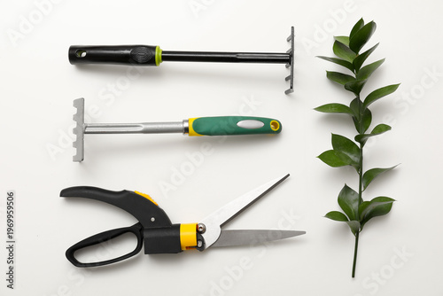 Rakes, pruner and plant on ...