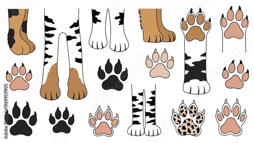 Fun illustration of various animal paws and legs with different patterns like stripes, spots, and solid colors alongside black footprint icons.