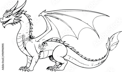 vector illustration of a dragon