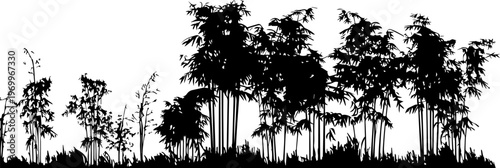 A dense silhouette of bamboo stalks and leaves against a white background.