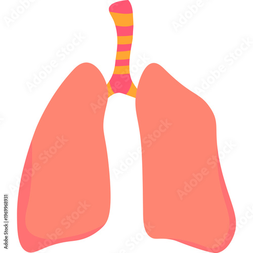 Human Lungs Anatomy Vector Illustration
