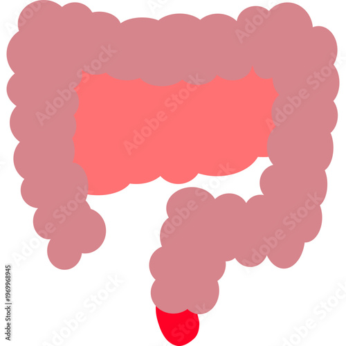 Human Colon Digestive Health Icon