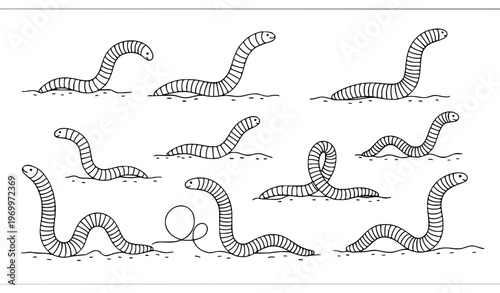 hand drawn vector illustration of a dragon Earthworm Crawl Outline Icon Vector Set with Minimal Soil and Nature Line Art