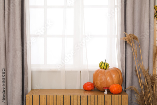 Different pumpkins on commo...