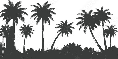 Black silhouette of palm trees in tropical forest isolated on white background vector illustration for summer design