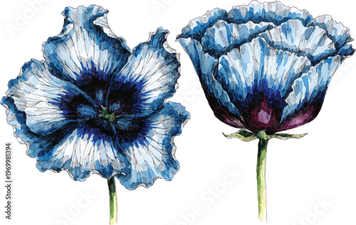 Watercolor Blue Poppy Flowers Illustration