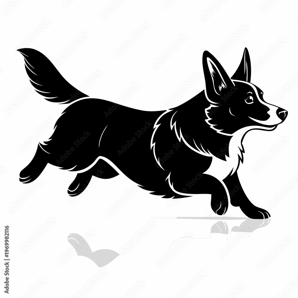 Obraz premium running corgi dog silhouette dynamic motion isolated on white background vector