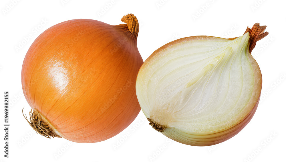 Fototapeta premium Whole yellow onion, and halved onion displaying layered rings