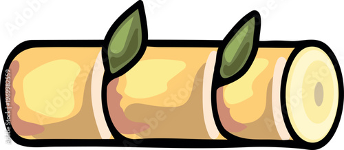 Sugarcane stem cutting (Saccharum officinarum) with new sprouts. Vegetative plant propagation 