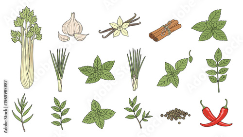 Collection of assorted culinary herbs and spices including celery stalks, garlic, vanilla beans, cinnamon sticks, mint, and chili peppers.