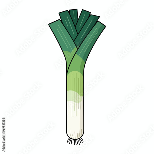 A stylized illustration of a leek, with green leaves atop a white and light green stalk